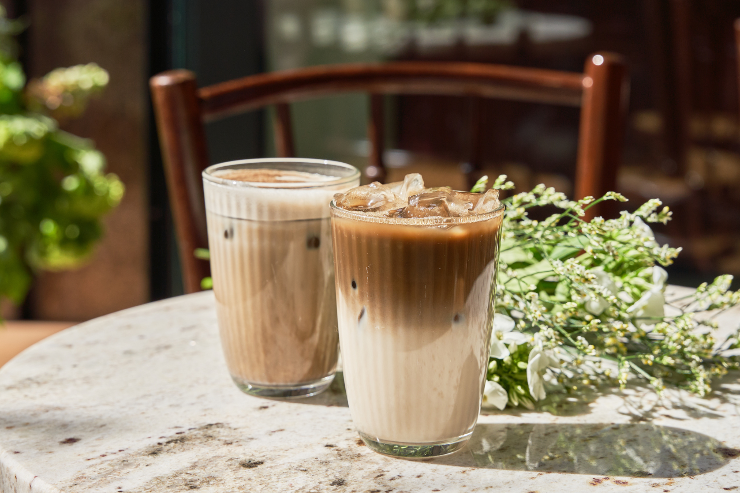 czym jest hojicha powder